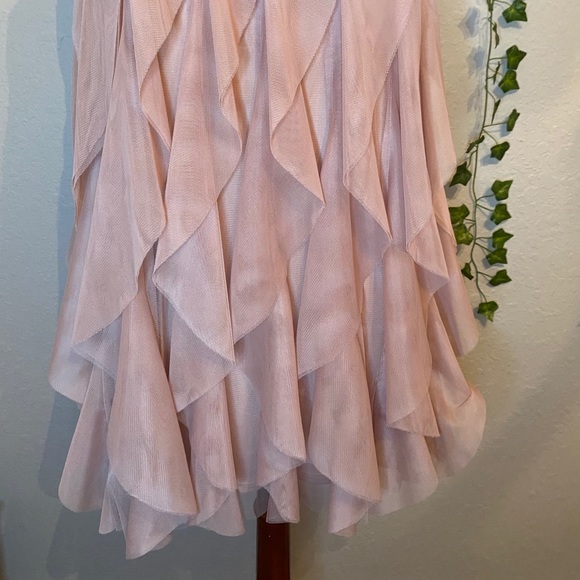 Champagne Ruffled Dress - Picture 5 of 5